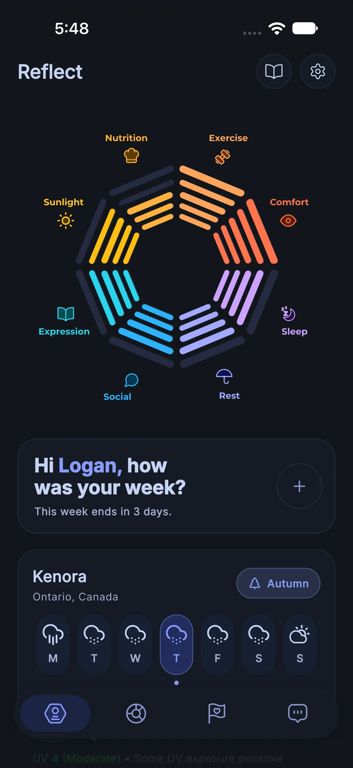 Goals tab, an aspiration with its habits